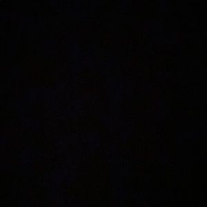 Meet your Posher, Ava